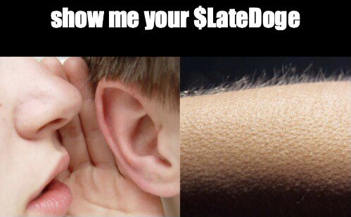 Late Doge Official tweet media