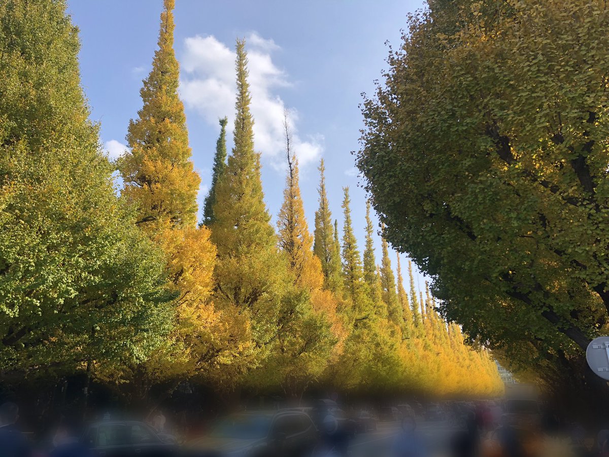 misa33_cha's tweet photo. イチョウ祭り2021🍂🍁
AKRacigをお試しいただける展示が
あり、わたしたちもお手伝いさせて
いただきました👏
@AKRacingJapan https://t.co/Qu4MGvthVF