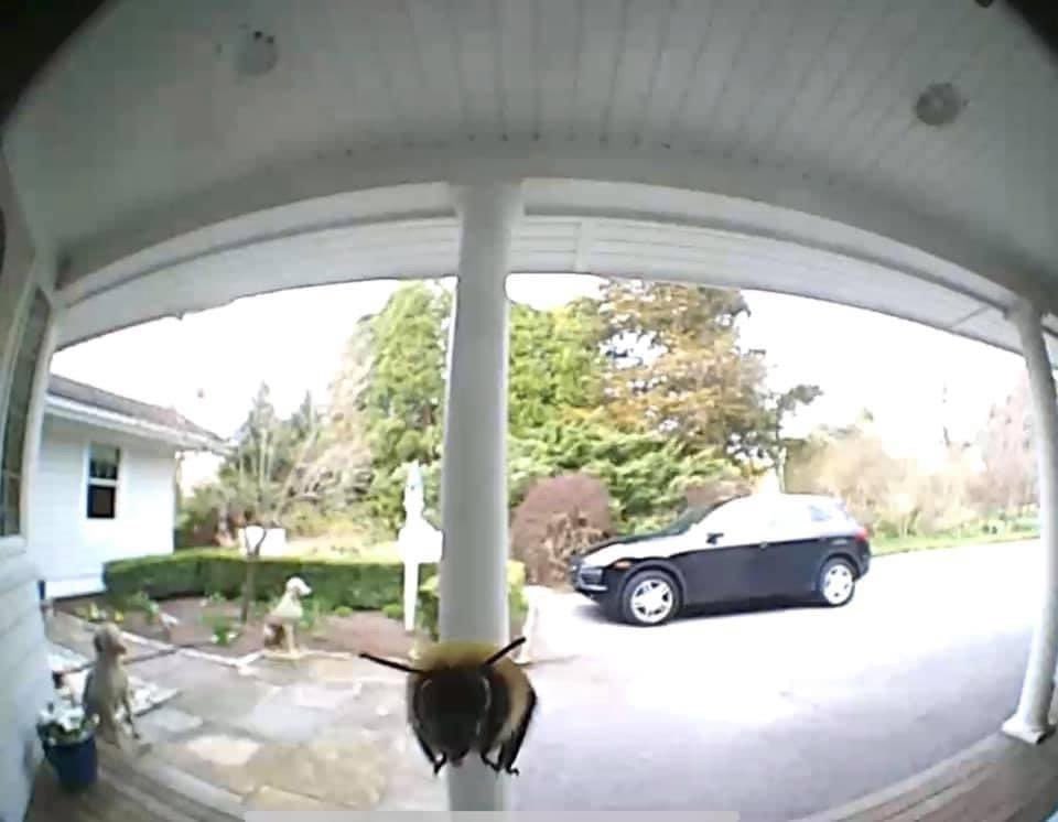 𝖘𝖊𝖑𝖊𝖓𝖎𝖔𝖓 🗡️ tweet media