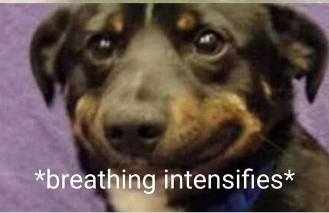 Quien entienda entendió