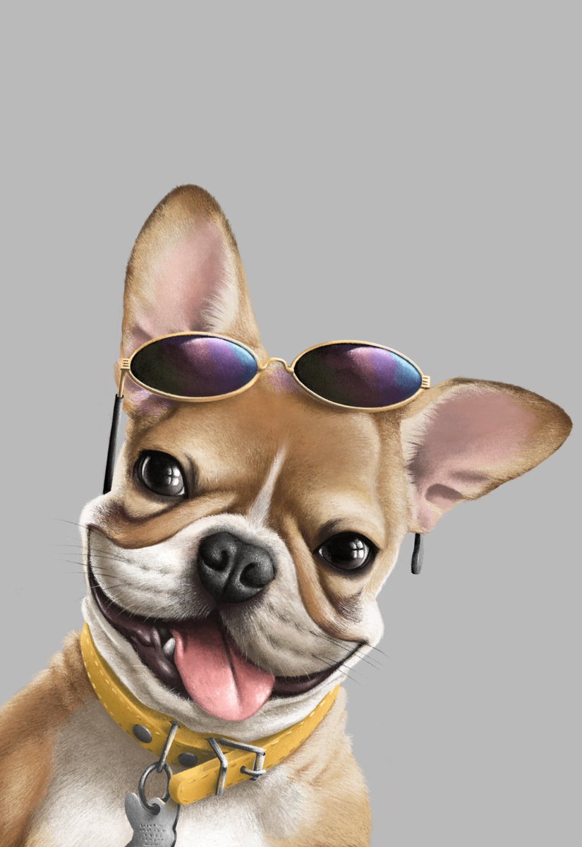 jakin_martinez's tweet photo. Solana the french bulldog. ❤️

Commissions open.

#art #ArtistOnTwitter #artwork #commissionsopen #commissions #digitalart #Procreate #illustration #AnimalArtistsUnite #animalart #DogsofTwittter #dog #frenchbulldog #frenchie #dogs https://t.co/WSPXPYNKRy