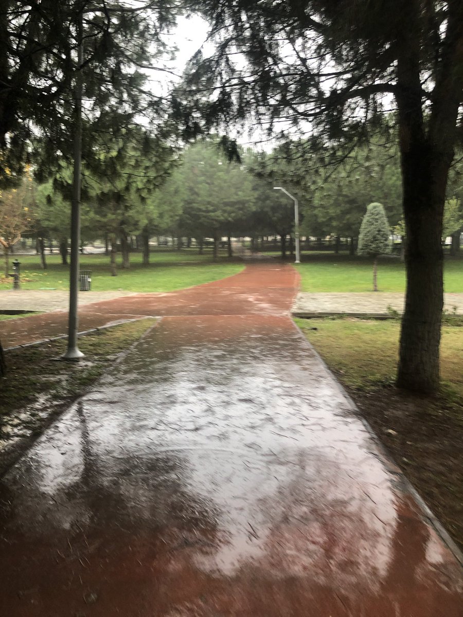 Haticee47846895's tweet photo. 🍀☔️ https://t.co/ISQiPElCSz