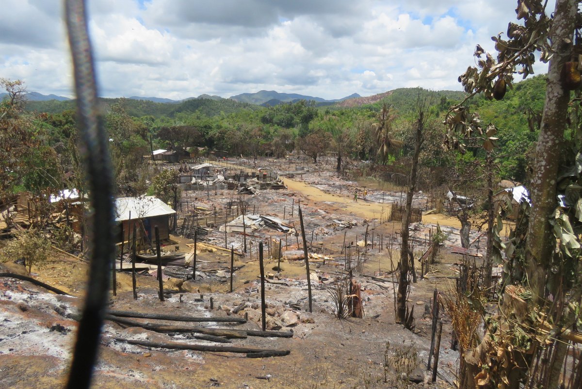 T_Andrevory's tweet photo. a sad news😰Ambodirafia, a village near Betampona destroyed by fire, https://t.co/orF7W06uBX