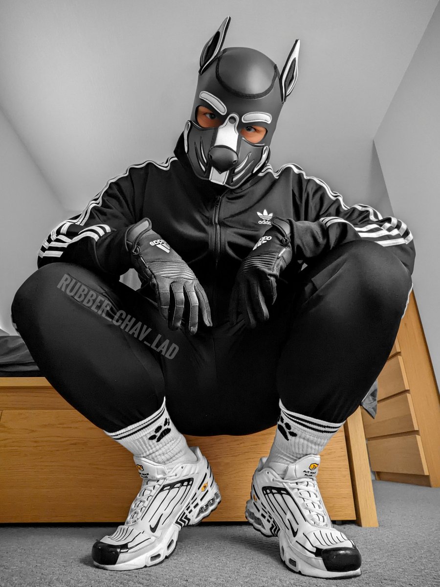 Nairo_Pup's tweet photo. Woof horning! Ehm i meant, good morning! 🐺 https://t.co/nIX6Dg0ipf