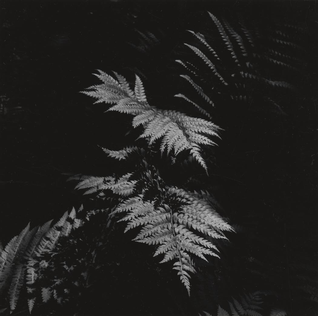 archillect's tweet image. 