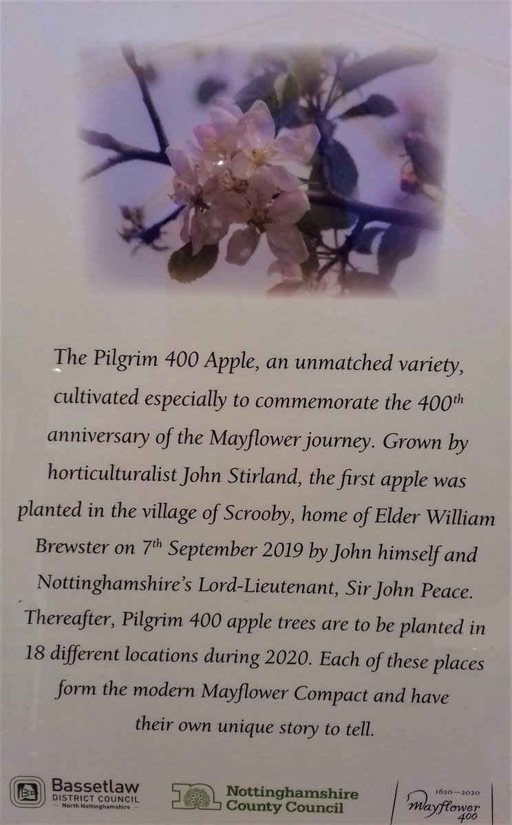john stirland (@johnstirland) on Twitter photo Looking forward to #planting another <a href="/400Pilgrim/">Pilgrim 400</a> Apple tree tomorrow #Thanksgiving for <a href="/NottsCC/">Nottinghamshire County Council</a> at County Hall. <a href="/fizzingawhizbee/">Isabelle Richards</a> <a href="/PilgrimRoots/">Pilgrim Roots</a> <a href="/SallyOutram/">Sally Outram</a> <a href="/BBCNottingham/">BBC Nottingham</a> Looking forward to #planting another <a href="/400Pilgrim/">Pilgrim 400</a> Apple tree tomorrow #Thanksgiving for <a href="/NottsCC/">Nottinghamshire County Council</a> at County Hall. <a href="/fizzingawhizbee/">Isabelle Richards</a> <a href="/PilgrimRoots/">Pilgrim Roots</a> <a href="/SallyOutram/">Sally Outram</a> <a href="/BBCNottingham/">BBC Nottingham</a>