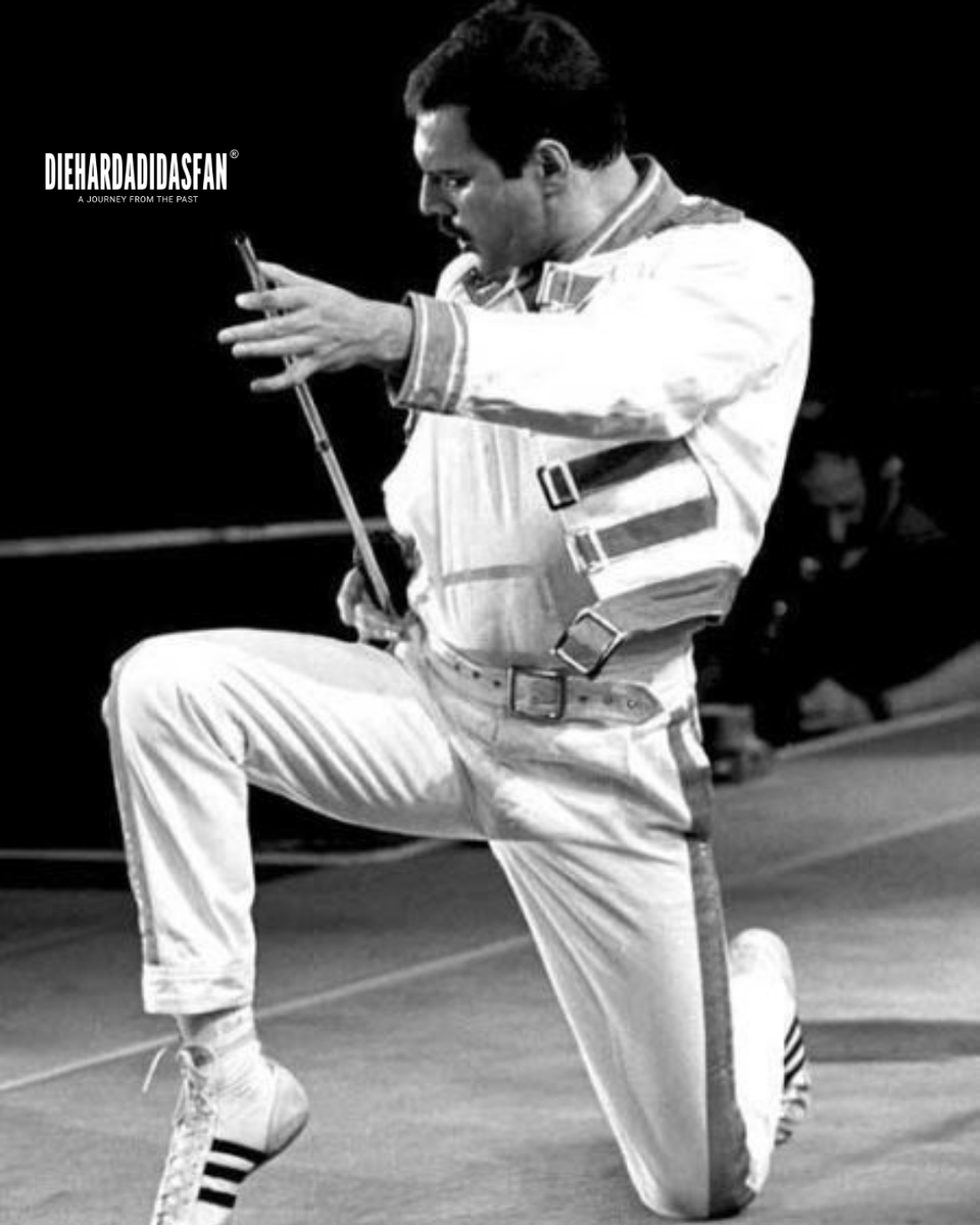DIEHARDADIDAS's tweet photo. Hari ini tepat sudah 30 tahun yang lalu, seorang Legend Freddie Mercury meninggal dunia. Dari beberapa aksi panggungnya, beliau terlihat sering kali memakai adidas Herkules.
Dari sekian banyak lagu Queen diehardpeople paling suka lagu apa?
#3foil_id
#3foil
#diehardadidasfan https://t.co/WleCQIascI