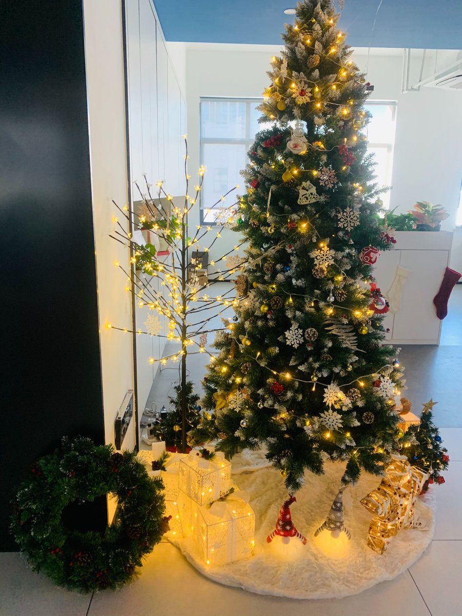 EvaGrac79500296's tweet photo. Before we left, we began to decorate for Christmas!

#christmas #christmastree #gnome https://t.co/ZTDYcl6cyf
