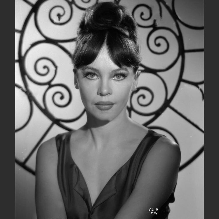 oldmovieactress's tweet photo. https://t.co/Rcl7HYimas #lesliecaron #classichollywoodactresses #oldhollywoodstars #oldhollywoodglamour #beauty #goldenageofhollywood #screengoddess #silverscreenstars #goldenera https://t.co/KQocr3dvOv