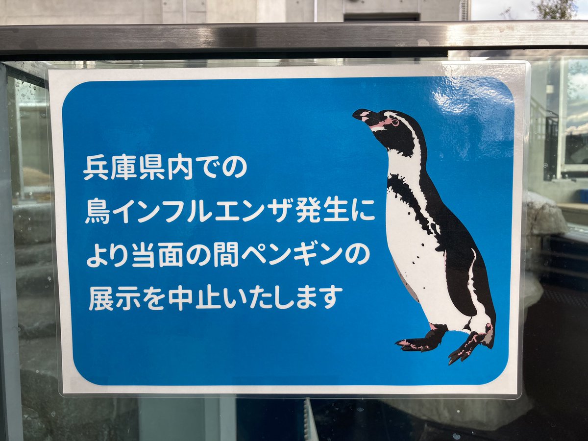 水族館行きました。