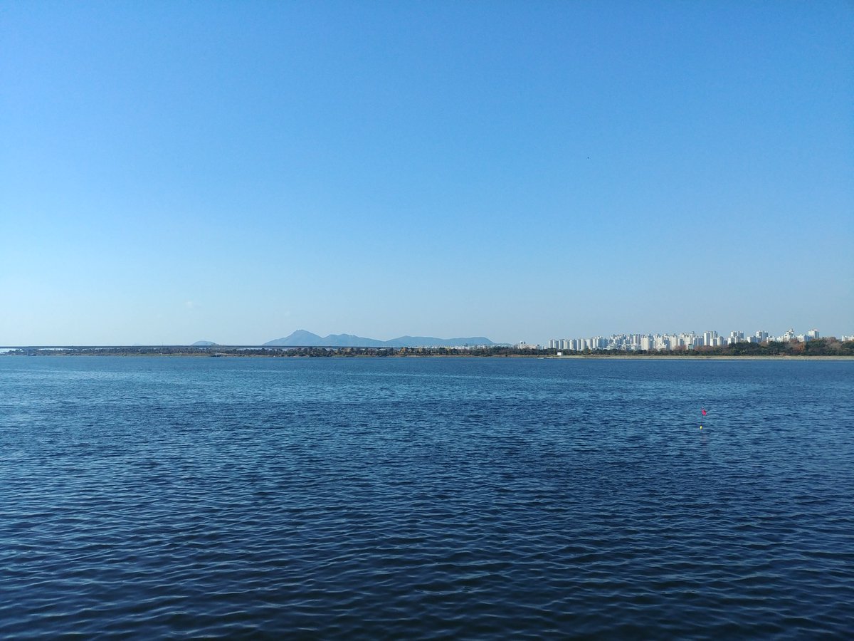 0708pado's tweet photo. 수요일 오후 낙동강 끝자락 https://t.co/cOHKjmgacr