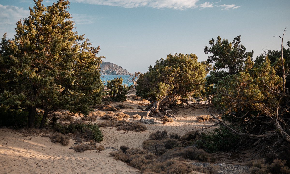 Europeo_Cars's tweet photo. One of the most beautiful and hidden beaches in Crete is the Kedrodaos beach, close to the famous Elafonissi.
https://t.co/m2uGpdknhQ
Photo by Nik Shuliahin

#EuropeoCars #EuropeoCarRentals #EuropeoCarHire #CreteCarRentals #CarRentalsCrete #CreteCarHire #Kedrodasos #beach https://t.co/Wfur48etSf
