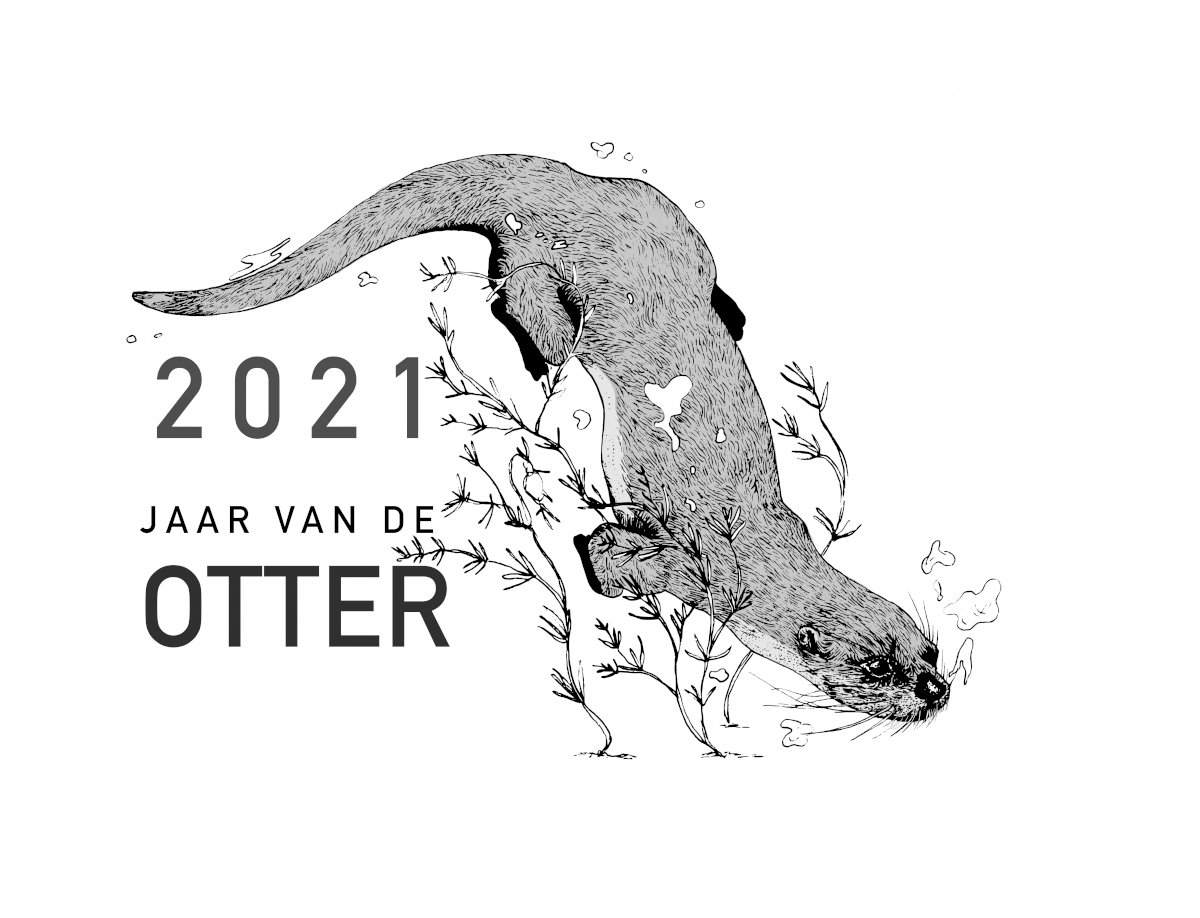 Zoogdierverenig's tweet photo. Kom in dit #jaarvandeotter in Duitsland, Nederland en België naar het grensoverschrijdend otterwebinar 'De otter verlegt grenzen' op 25 november! De webinar wordt vanaf 14:30 uur uitgezonden via het YouTubekanaal van #CaLutra, aanmelden is niet nodig.
https://t.co/jzLBd6IilB https://t.co/3qETErmfBi