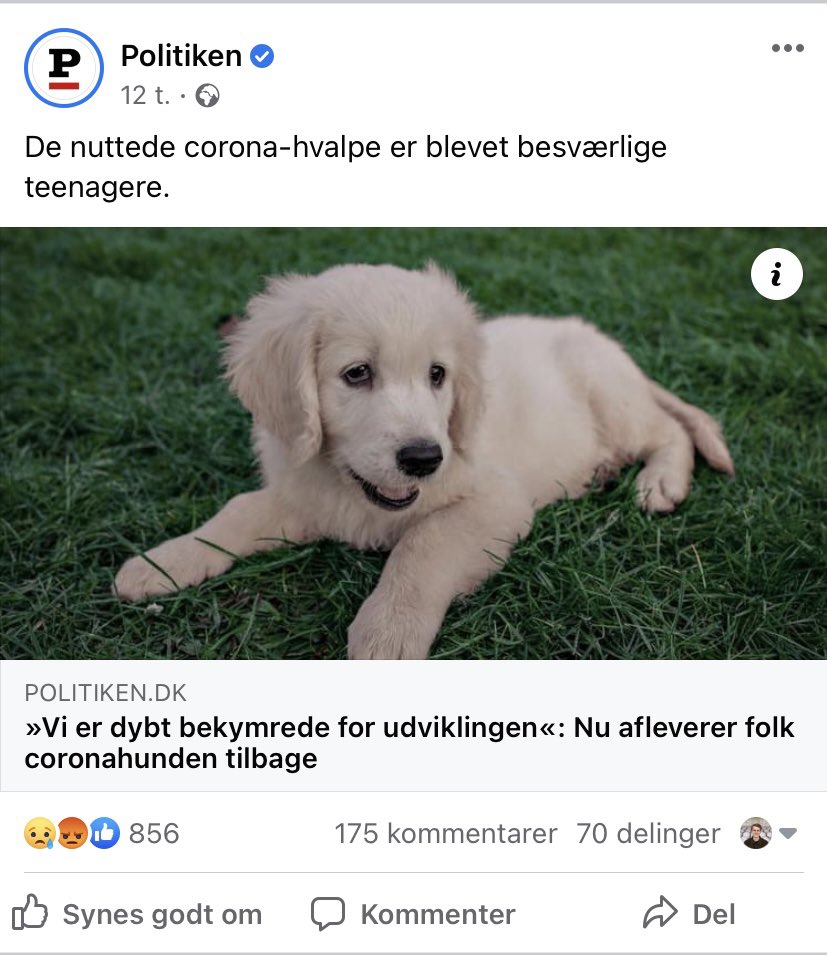 FredeBank's tweet photo. Bud på kommende historier:

- Så mange strikkepinde er røget i glemmekassen
- Tusindvis af surdeje har mistet livet
- Det flyder med puslespil på DBA https://t.co/XRnkMFad0g