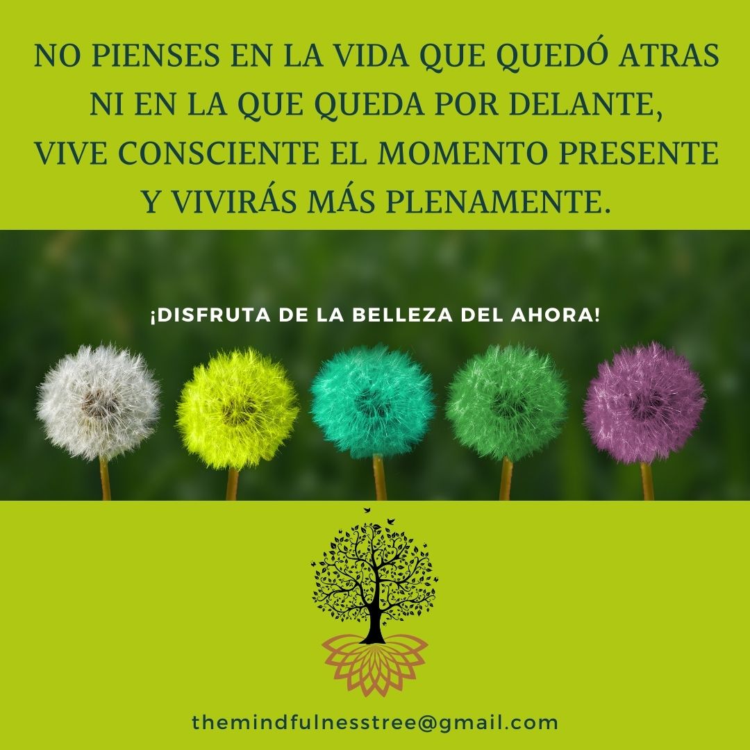 theMDFtree's tweet photo. #viveconsciente #momentopresente #vivirplenamente #disfruta #belleza #aquiyahora #mindfulness https://t.co/CA75VGIGBF