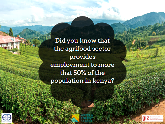 Eenovators's tweet photo. Did you know that the agri-food sector provides employment to more that 50% of the population in Kenya?
#ESCO4Efficiency
@WE4FGCD https://t.co/o5DaCFcXJD