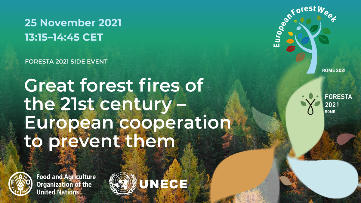 FAOForestry's tweet photo. Join us on 25 November at a #EuropeanForestWeek side event on the great fires of the 21st century and European cooperation to prevent them!
Learn more and register now: https://t.co/XLl704SxVd
@UNECE #FutureofForests https://t.co/FkxM4SmqPD