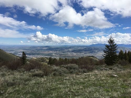 CaminoHuarte's tweet photo. «El bosque y las montañas verdes están dentro de uno, dijo Theresa. Eso es lo que hace un artista. Viaja por el mundo buscando lo que está en su interior. » Ahora es el momento, Tom Spanbauer. #tomspanbauer #leer #pocatello https://t.co/hkIgfnzV6p