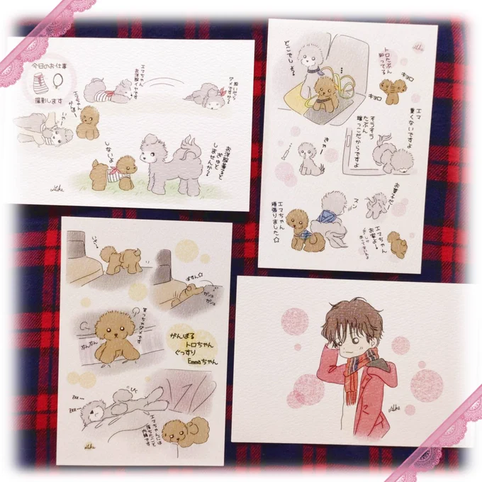NHK杯の時、みけさん(@Mike_neko111)とご挨拶して、モフモフできゃわわなポスカ頂きました💓💞デイリーもふもふ︎💕︎毎日に欠かせない存在の可愛さに癒されまくりです😍
みけさん、UNO1と共にいつもありがとうございます✨ 