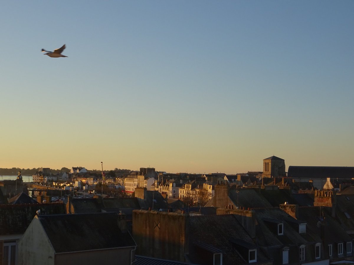 Yvan Le Bras tweet media