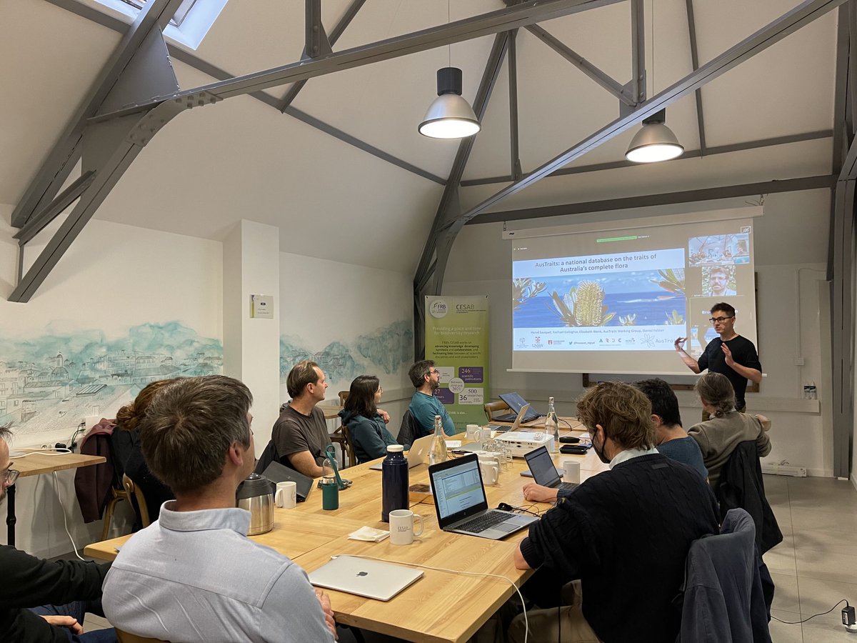 nicrodemo's tweet photo. ⁦@hsauquet_rbgsyd⁩ tells our DiVERS working group about the exciting project AusTraits to document phenotypic traits across the Australian flora https://t.co/DFT8JDE8KZ