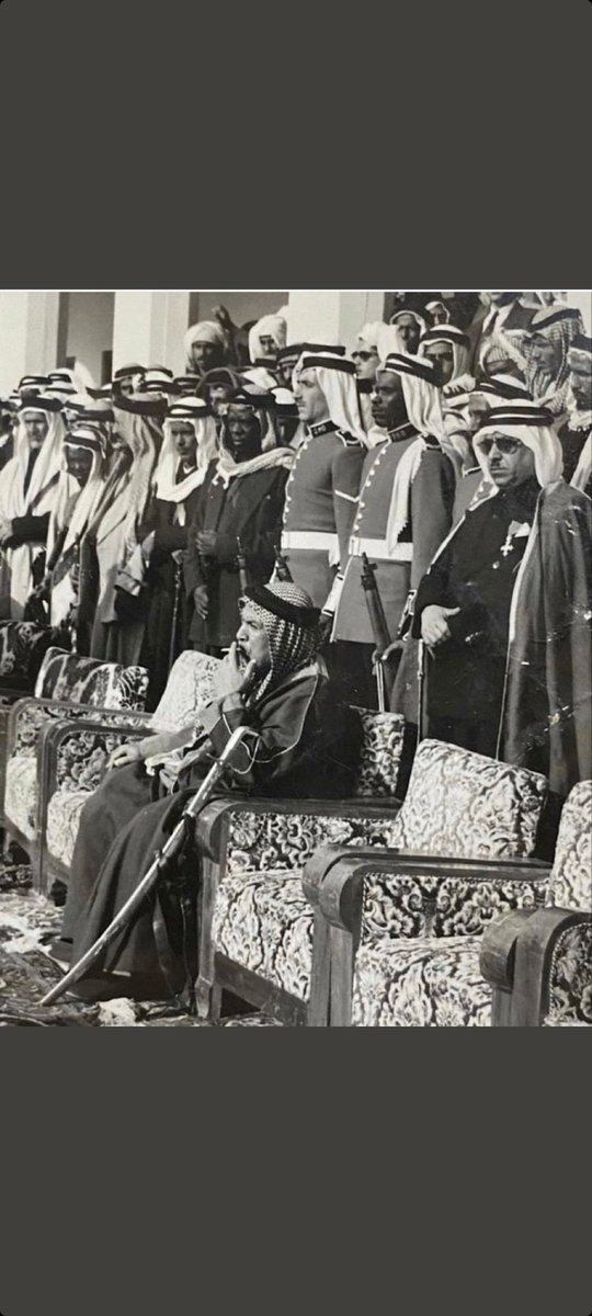 الذيب في الجليب tweet media