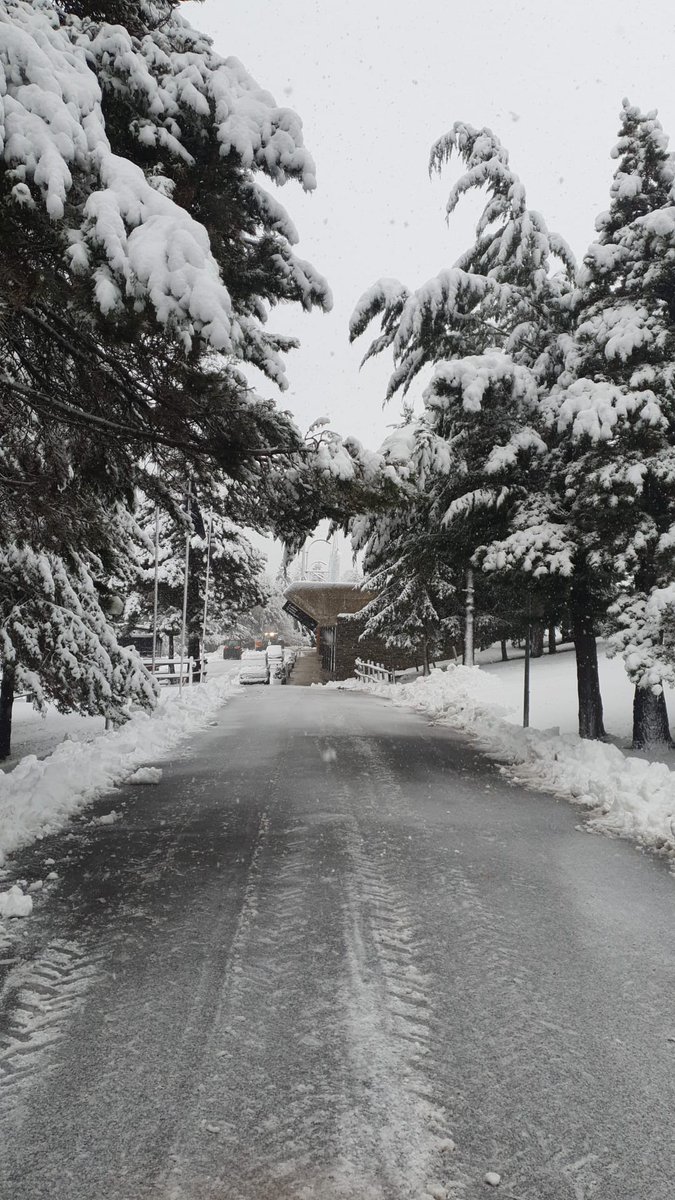 Pirineu365's tweet photo. Bon dia!!! I quin dia tenim avui! Mireu l'estació!!! ❄❄❄

Ja tenim, després de tot un estiu, l'estació amb l'aspecte que tant ens agrada!! 🏔❄

Tenim moltes ganes de començar temporada! Estigueu pendents de les notificacions aquests dies 😉

#LaMolina https://t.co/fdtBBYHCtn