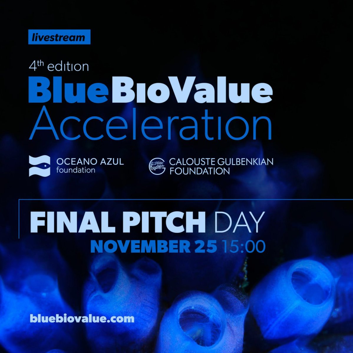 resistomap's tweet photo. ✨🌊Tune in tomorrow for the #BlueBioValue #Acceleration final pitch event! #Resistomap is one of 17 chosen startups presenting a final pitch for their ocean-solutions, after which the winner of the BBVA will be announced!🥇
Register here: https://t.co/gq6Xso3lTl
#Ocean #BioTech https://t.co/E9dVQ5szH3