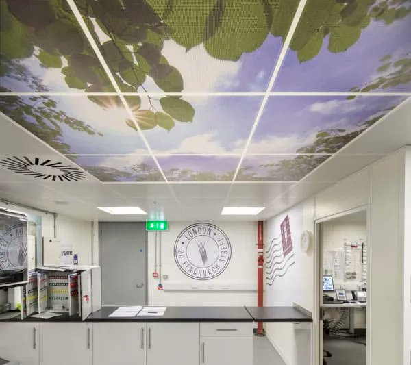 Biophilic Design - what's it all about and how can the design of wayfinding signs and environmental graphics contribute? Here's a quick summary. 
buff.ly/3EpeJNt
#biophilicdesign #wayfinding #signdesign