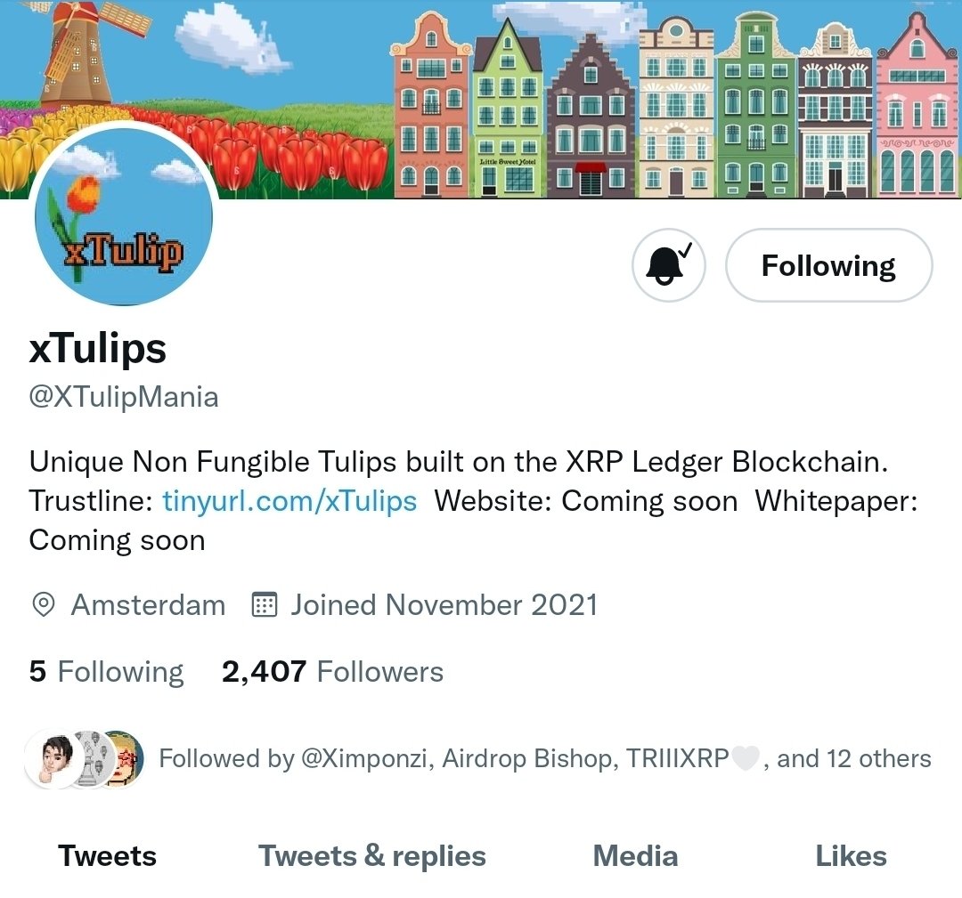 DukeOfAirdrop's tweet photo. Turns out $XMILLIONPIXELS changed their page to @XTulipMania. Please be warned. 🚨🚨 https://t.co/4kYpsr6NWt