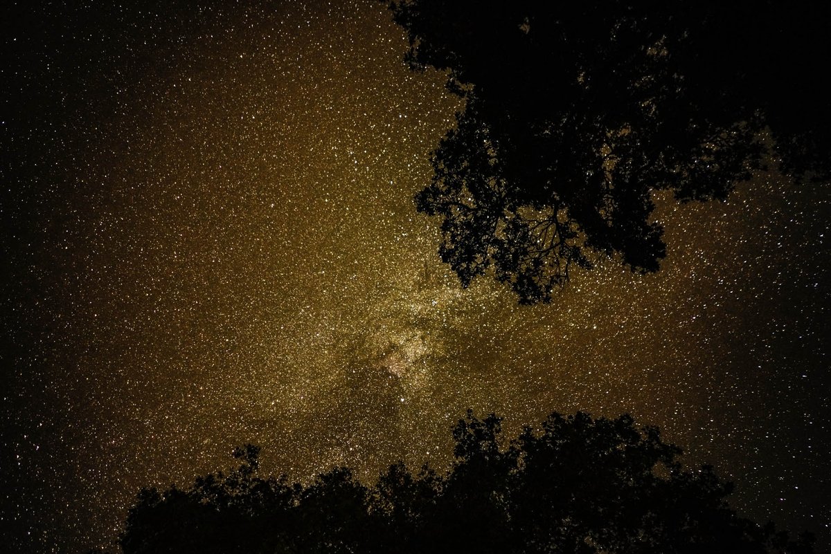 WeLocArt's tweet image. 🔍 [ZOOM SUR...] Laurent LEONCINI

📸 Ciel étoilé en forêt n°2

Cette photographie représente un ciel parsemé d'étoiles.
Globe trotter, #lartiste sillonne le monde avec son appareil photo.

👉 welocart.fr/showroom/detai…

@leoncinilaurent 

#art #polycult