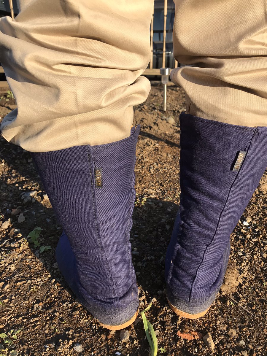 Ow5gAx's tweet photo. だいぶ冷え込んでますね〜 https://t.co/9FgzmzwbU0
