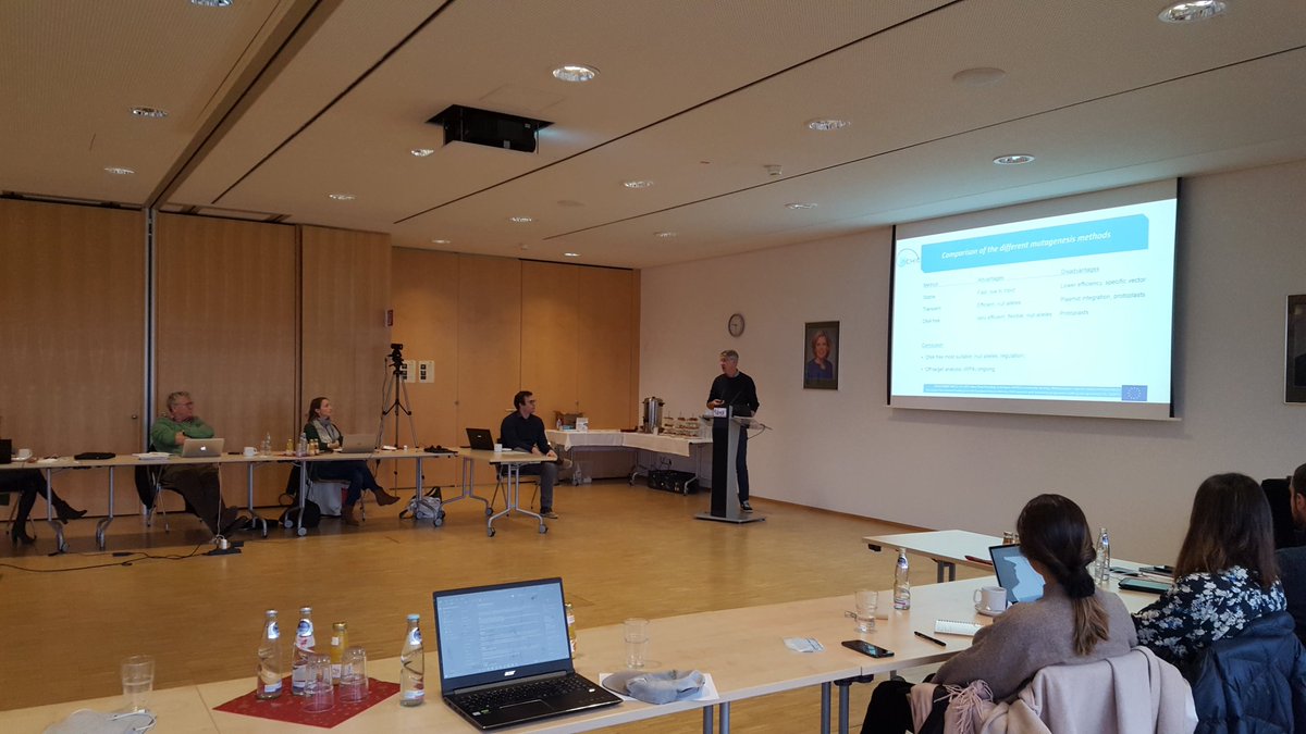 H2020_CHIC's tweet photo. 📣Project meeting at @JKI_Bund!👏
☑️ Some CHIC partners (hybrid) meeting in Quedlinburg, Germany. Looking forward for a fun and insightful meeting. 👩🌾
#NPBT #GenomeEditing #PlantBreeding #CHICproject #chicory #Quedlinburg https://t.co/I747KUOt8R