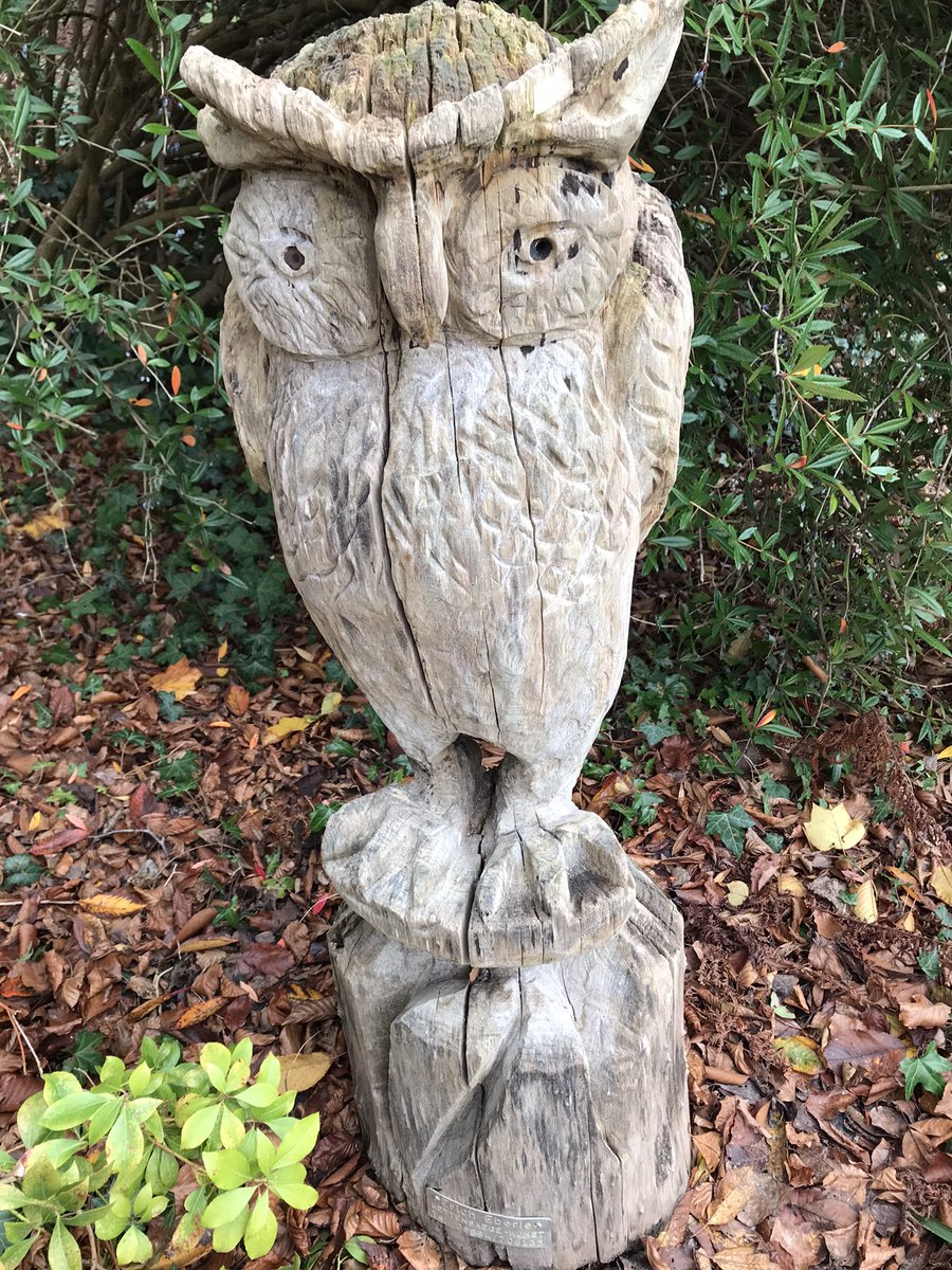 UK250463's tweet photo. #WelcomeToTheBoredom 👉 #Twitter
#trivial #Like #place 🥱
#owl #chainsaw #art #photooftheday by #WillVain - actually a #waste on twitter - just as an exception for #AFewGoodFriends 🍁❤️🍂 https://t.co/fevXBXGryI