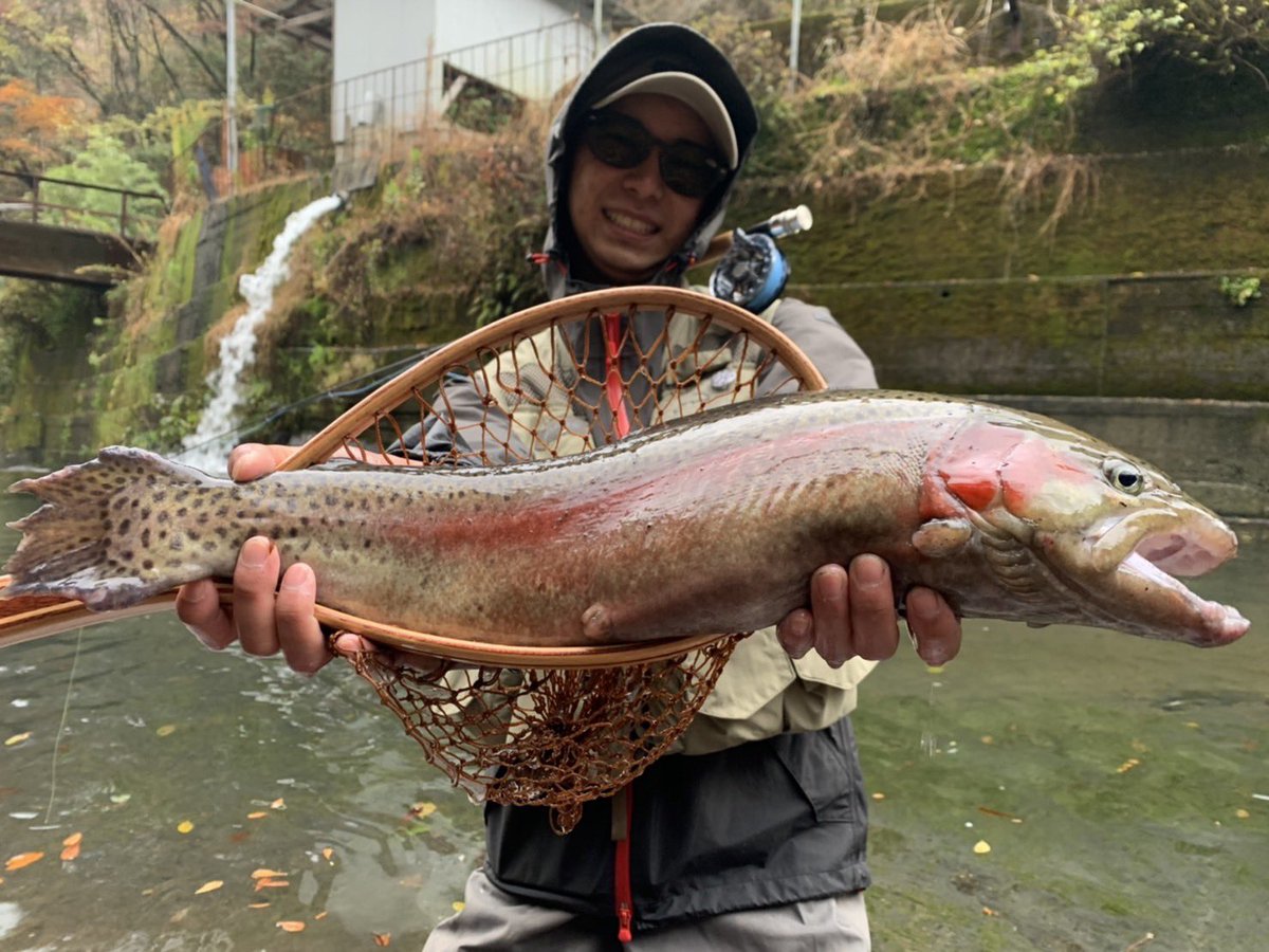 ryosuke_nk's tweet photo. 管理釣り場のボス捕獲。
数釣りはヤマメ多くてテクニカル

#varivas #バリバス　#フライフィッシング #木郷滝自然釣りセンター https://t.co/Z8AGgaBVvg