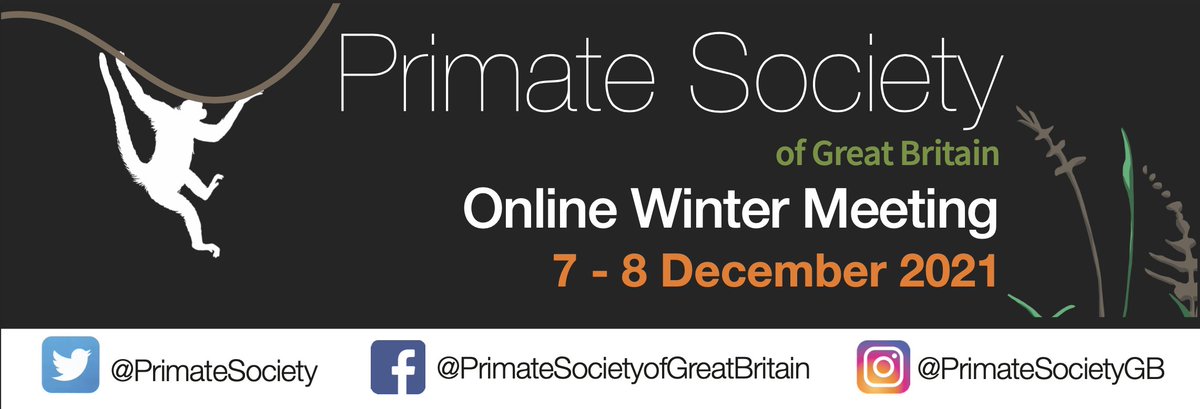 PrimateSociety's tweet photo. See the full programme for the Online Winter Meeting (7-8 Dec 2021) and buy your tickets here: https://t.co/xNSDdHuBzh

PSGB Giant Raffle - only £5 and loads of prizes available here: https://t.co/UsJlcUNgUg
Money raised goes towards @ProyectoTiti

#meeting #primate #learn #join https://t.co/tFa7kmSzSr