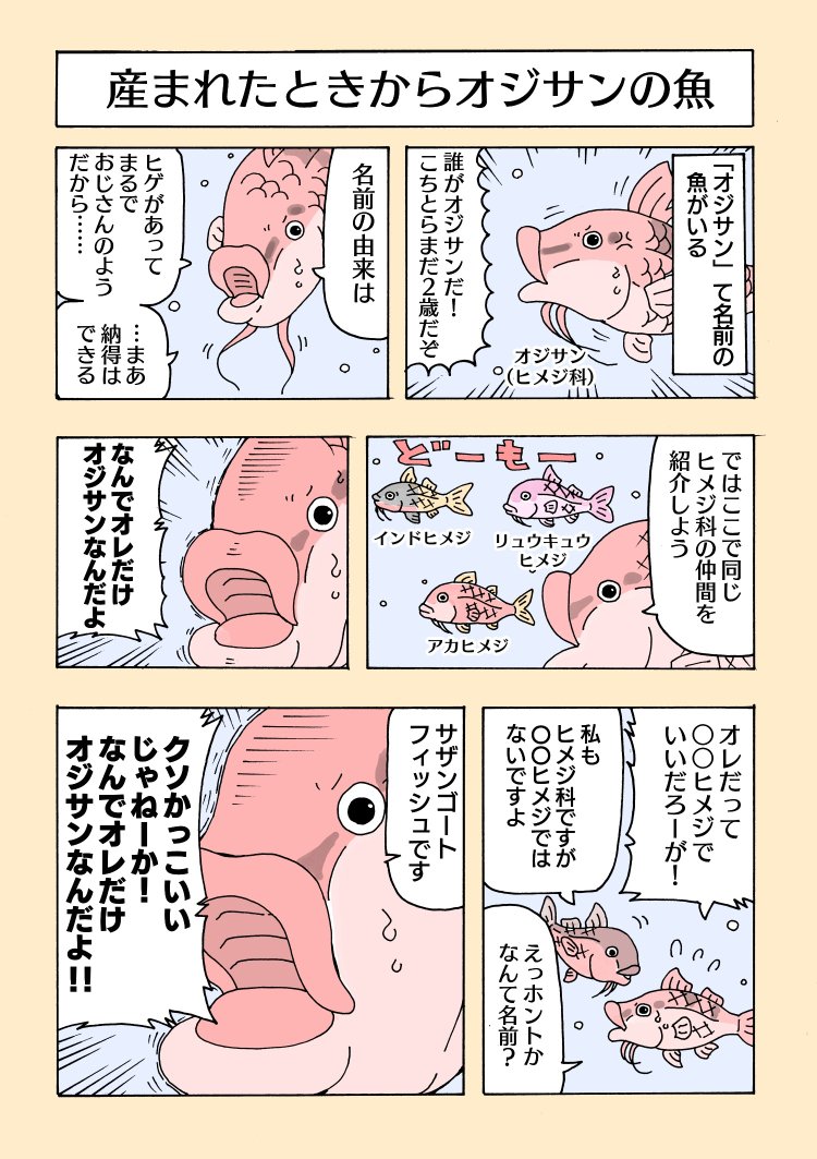 この魚、名前は「オジサン」
#イルカはフグ毒でハイになる? 