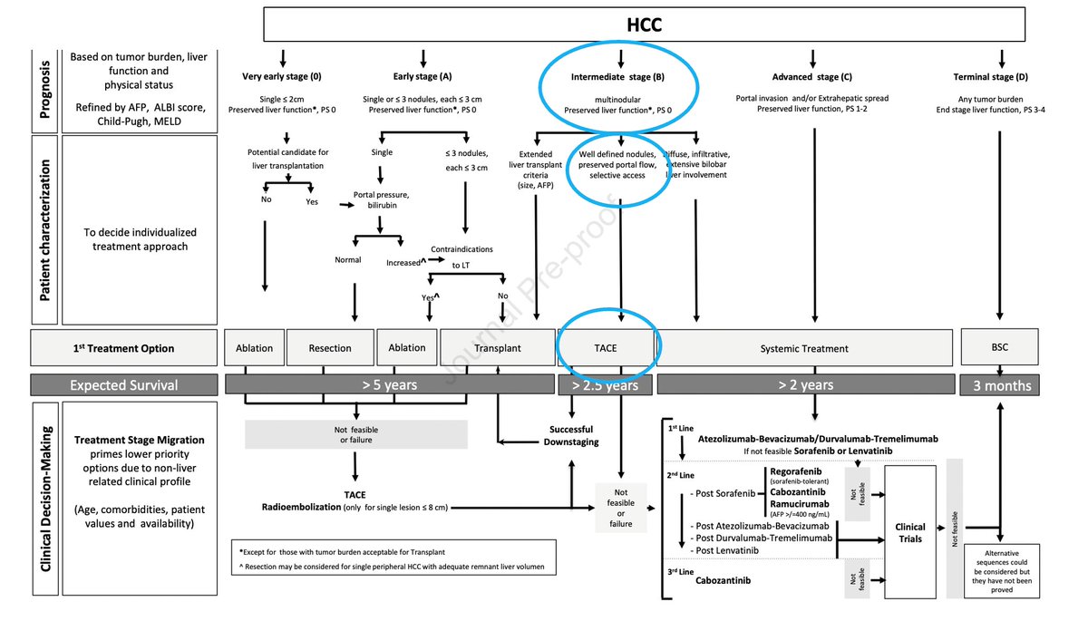 BCLC B (intermediate stage) HCC = multifocal HCC without vascular/extrahepatic extension in a patient with normal liver function &amp; performance status
👇
TACE is 1st line recommendation if 
👉porta flow is preserved &amp;
👉nodules are well defined &amp;
👉transplantation is not possible