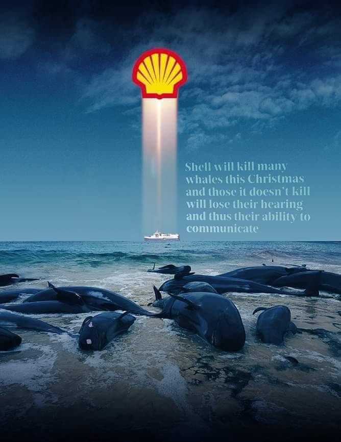 ExposeLion's tweet photo. LEAVE OUR OCEAN! dreaded Siesmic ship docked in Cape Town. SET to make its way up our Coast to blast Wild Coast ocean floor during Whale Breeding Season. Please join us by boycotting ALL Shell products. Pls share &amp; tag this. Whales &amp; all sea life will go deaf!! . https://t.co/m1LrQ14yOV