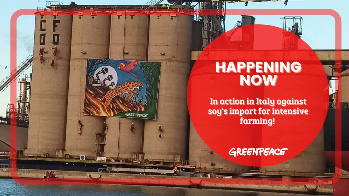 Greenpeace Italia tweet media