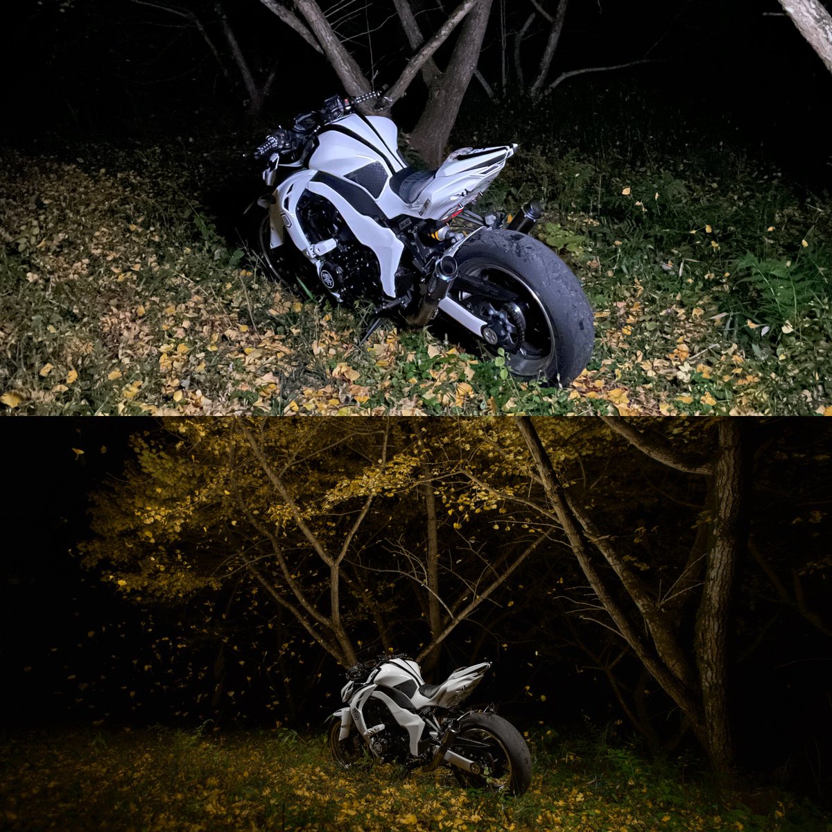 ベニ丼 tweet media