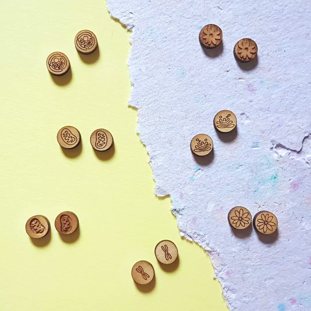 Time for a #cell-ebration 🎉🤓 cause I *finally* made something new!

Lockdown has been tough on my creativity, but what do you guys think of these wooden stud designs? 🔥 or 👎?

(made in Marrickville on <a href="/MakerspaceAndCo/">MakerSpace &company</a> laser cutter)

#CellBiology #SciArt #TeacherGifts