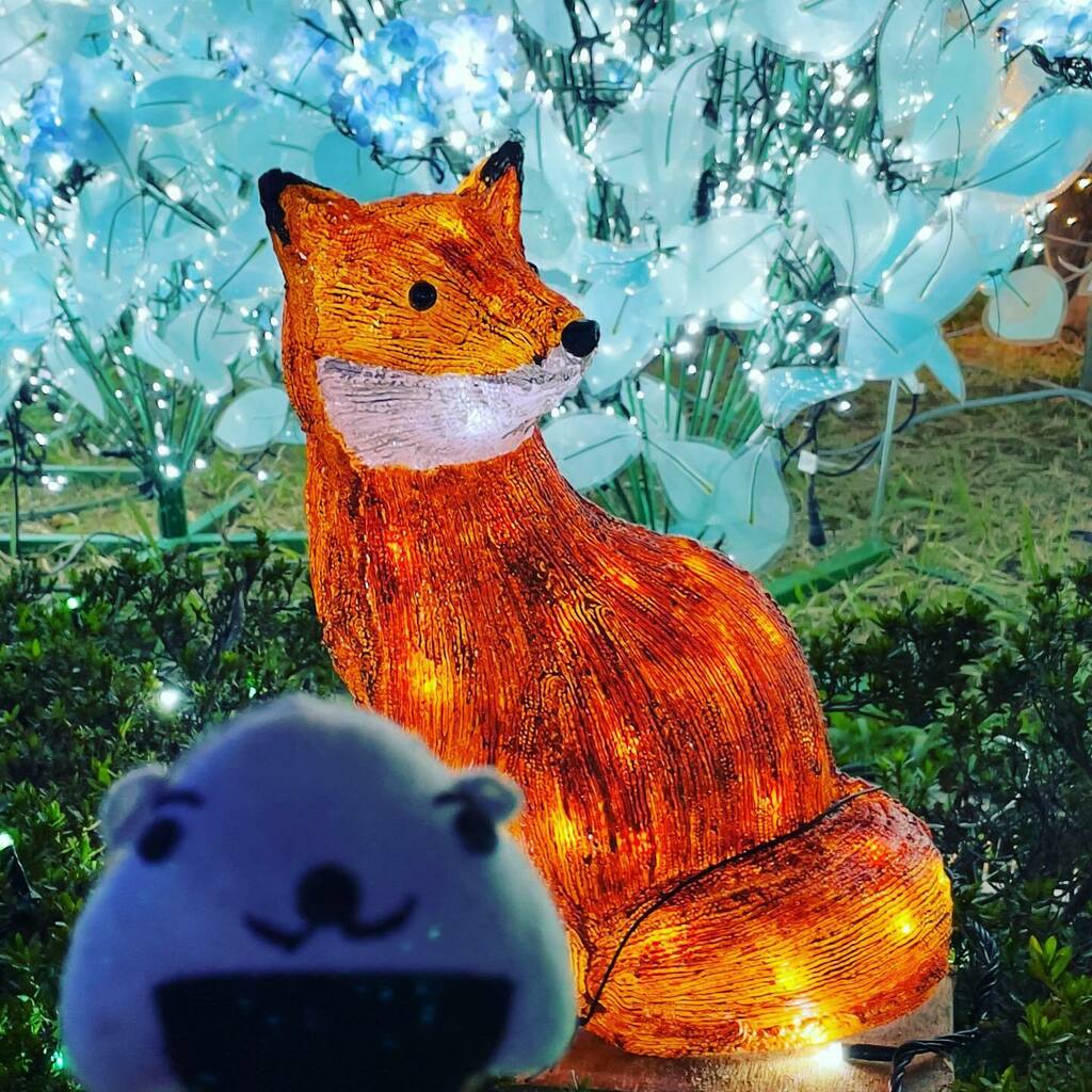 キツネ可愛い Twitter Search Twitter