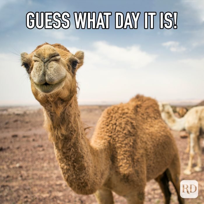 BerkeleyAssoc's tweet image. Happy #HumpDay!