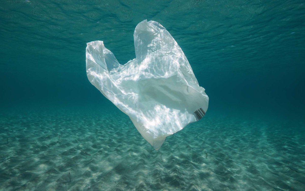 EcoMegot's tweet photo. THREAD #3 Semaine Européenne de Réduction des Déchets 2K21 #SERD2021 

Chaque année, 8 millions de tonnes de plastique finissent dans nos océans. 🌊 https://t.co/Clhje0lu4K