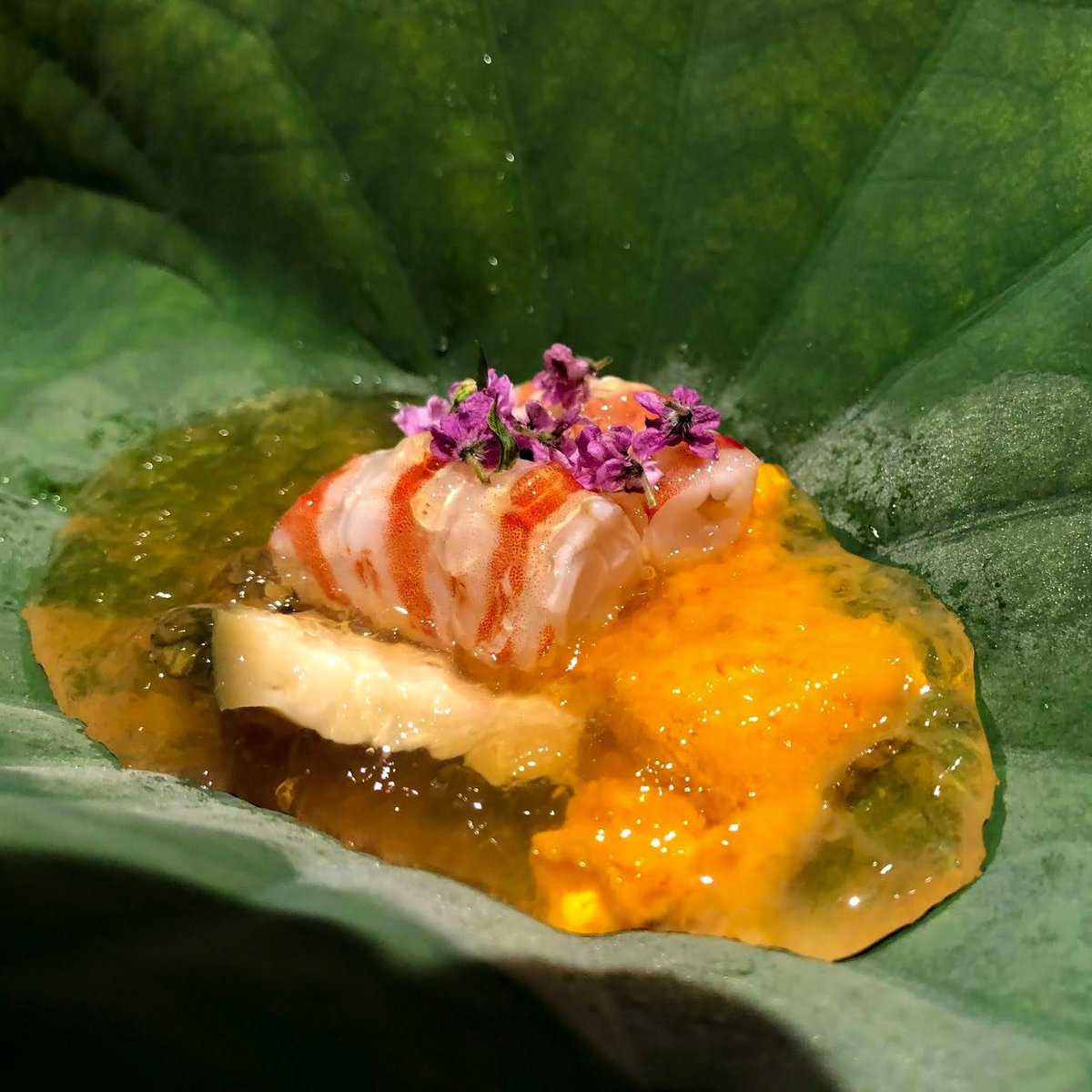 kinmisake's tweet photo. フルーティな日本酒を楽しめるペアリングのコツ3選

✅柚子など柑橘系の爽やかな香り
✅甘みが弱く、素材由来の旨みを感じられる
✅若干の苦みを含む

以上を意識した料理と合わせると、お酒と料理の相乗効果で家飲みをより楽しめます🍶 https://t.co/z5Dru6Ob7n