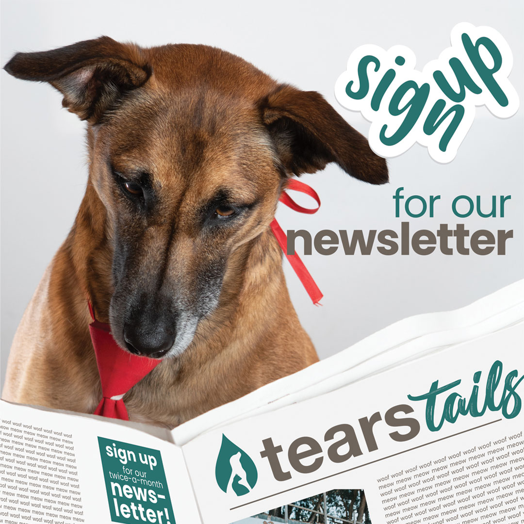Keep up with @tearsanimalrescue by signing up for our newsletter, TEARS Tails. You'll learn all about our most recent success stories, rescues, upcoming events and more! Sign up is a breeze and we promise not to spam you. bit.ly/3xih7lW