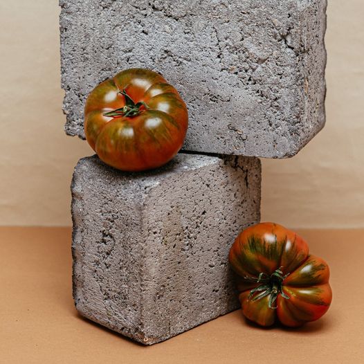 puntdesabor's tweet photo. Por su carne densa y su reducido número de semillas, el tomate marmande es una variedad muy versátil en la cocina, tanto para consumirlo crudo, en una salsa o preparar conservas. ¡Tenemos también marmande negro!🍅
#ElCampoTrabajaParaTi #bio #ecologico #agriculturaecologica https://t.co/sc4ElKxSEO