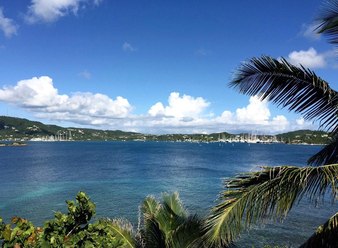 Are you attending the 60th anniversary Antigua Charter Yacht Show next month?   Ed and Jess will be there to assist with all your charter orders. ⁠ 
l8r.it/BWEN⁠
⁠
#AntiguaCharterYachtShow #OnshoreCellars #CharterYacht #YachtCharter #YachtWine