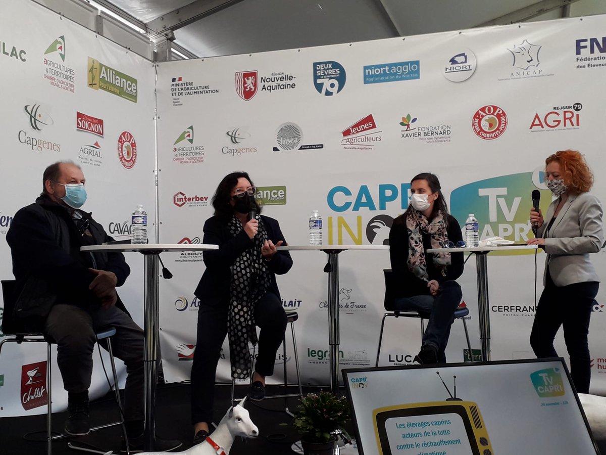 InstitutElevage's tweet photo. #CaprInov 2021 🐐
Sur l'espace #CapriTV
▶ Présentation de Carbone Agri : les filières de #ruminants s'impliquent dans le marché #carbone 🌍
📌 Avec F. Moreau @EleveursChevres / @anicapfr, MT. Bonneau - président France CARBON AGRI Association & notre collègue Mélaine Nugues https://t.co/9A0xKmfQ1s